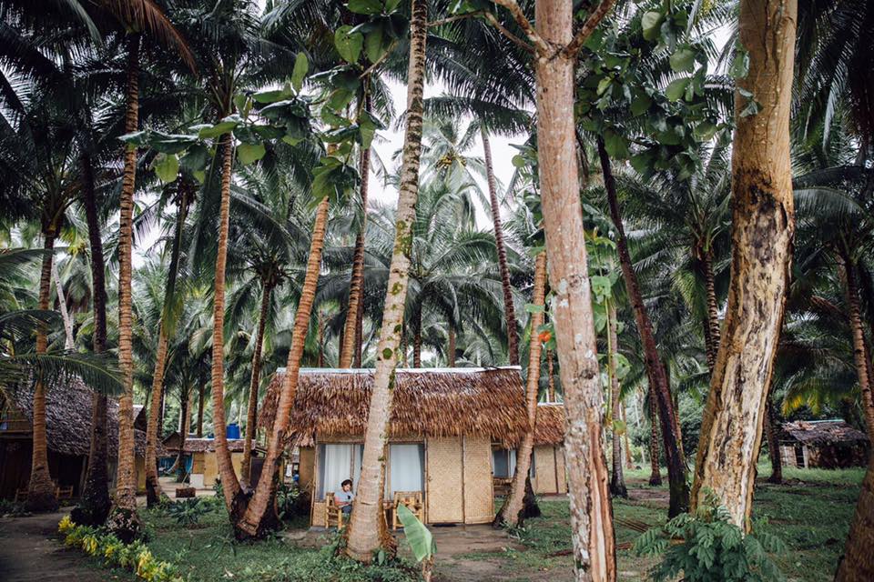 A cottage in Prince John Lodging and Restaurant