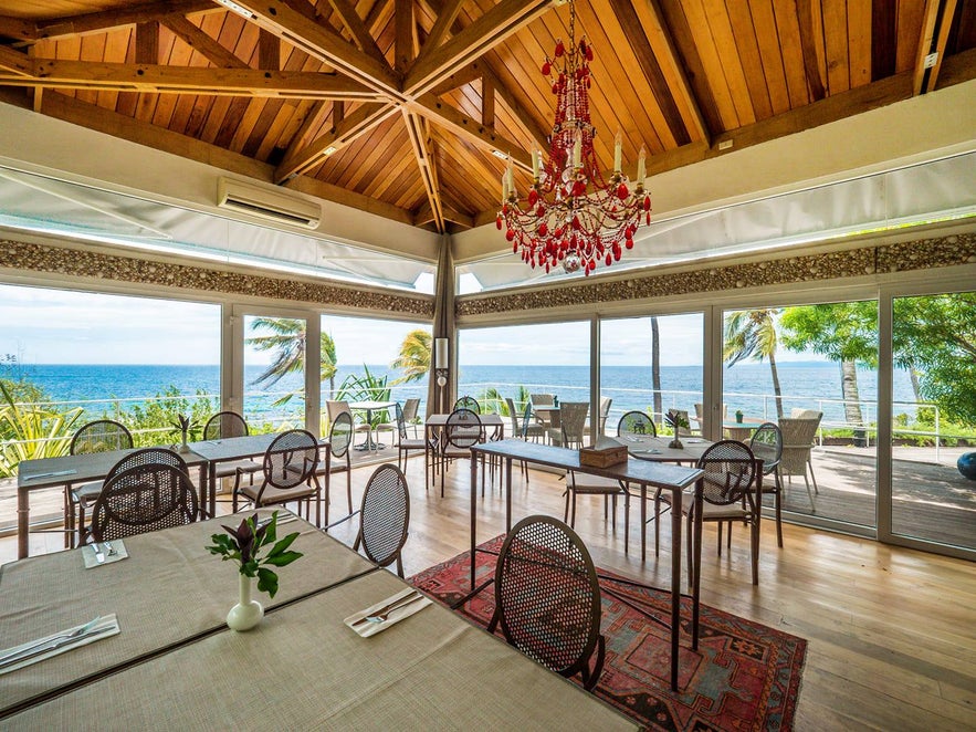 Tarsier Paprika's interior Tarsier Paprika's interior