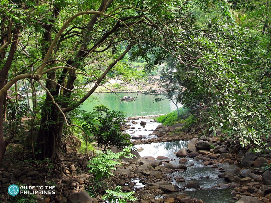 Natural spring pools in Mambukal Mountain Resort-2 Natural spring pools in Mambukal Mountain Resort-2
