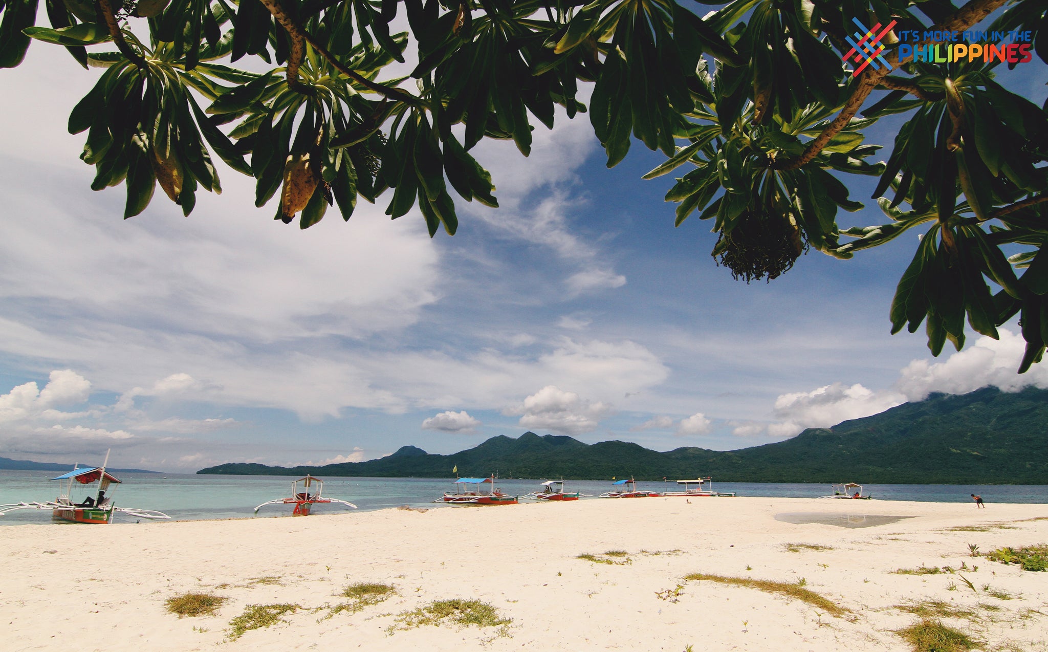 Shoreline of Mantigue Island