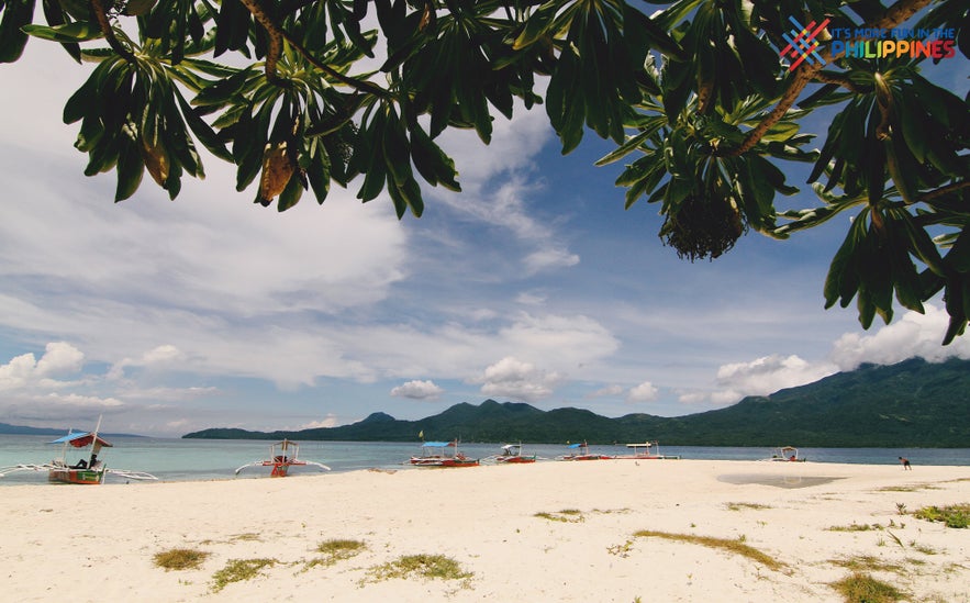 Shoreline of Mantigue Island Shoreline of Mantigue Island