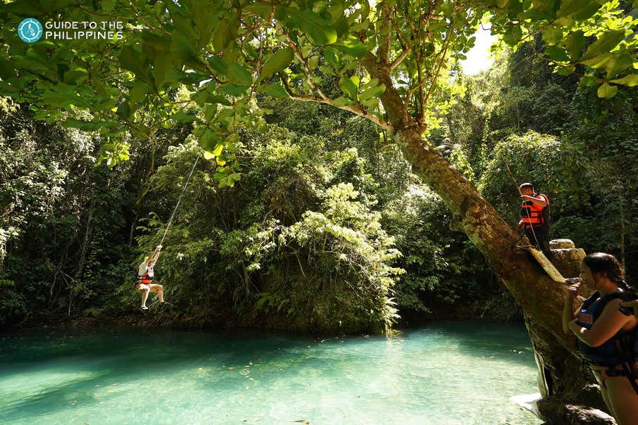Tourists swinging from tree at Kawasan Falls