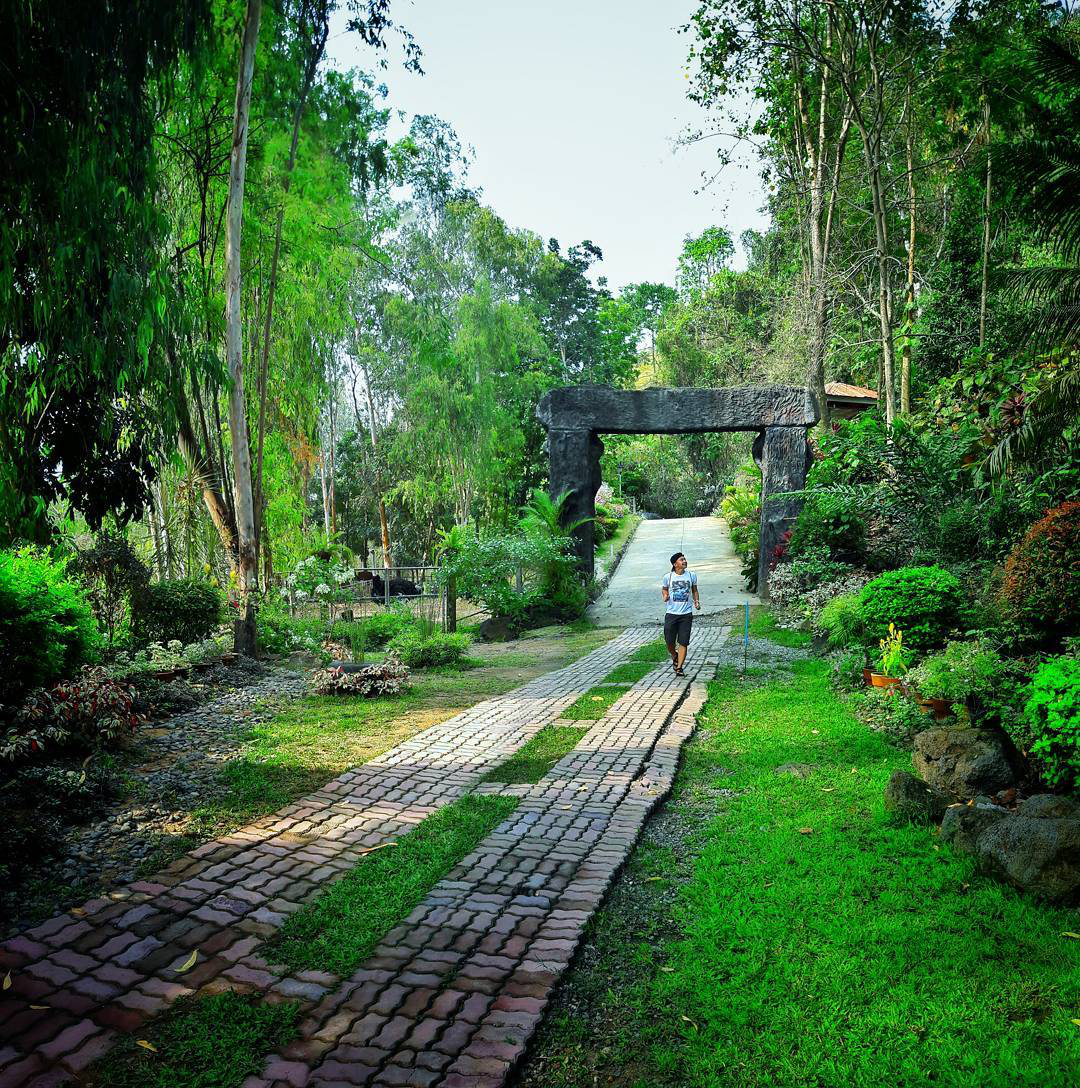 Man walks in NPC Nature Park's garden