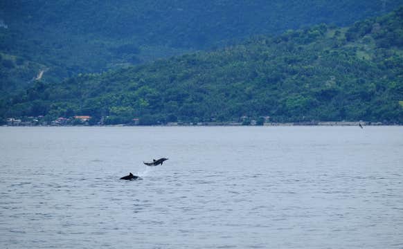 Manjuyod Sandbar & Balinsasayao Twin Lakes Day Tour with Lunch & Transfers from Dumaguete City