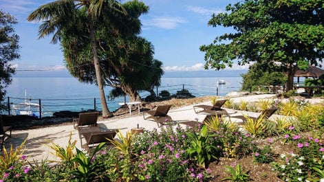 Garden facing Moalboal Beach at Cebu Seaview Dive Resort