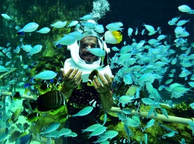 Full face or half-face helmet diving experience at Boracay