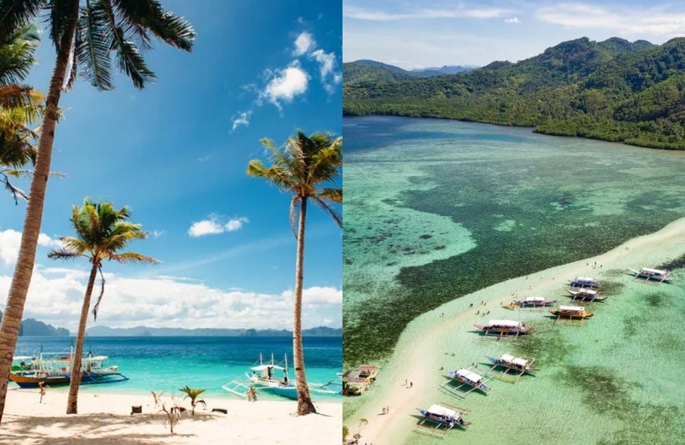 Paradise and coconut trees in the tropical beach of El Nido