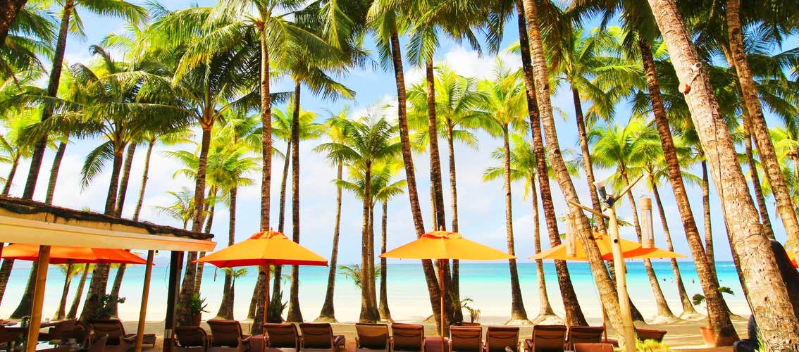 Beach umbrellas and chairs in Ambasssador in Paradise Resort