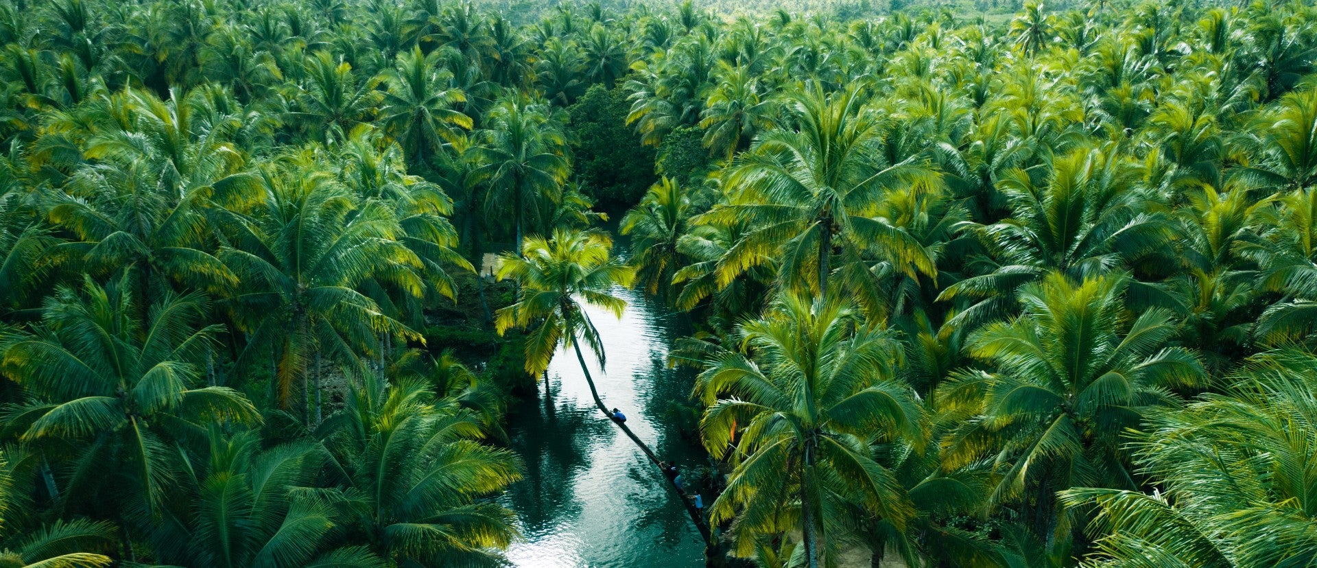 Aerial view of Maasin River during this Siargao Island tour package showcasing lush greenery and scenic river bends