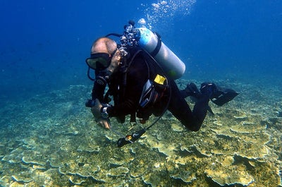 PADI Discover Scuba Dive Course