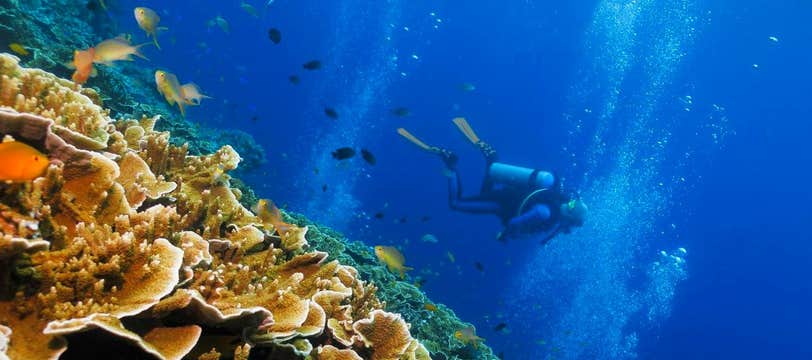 Amazing 3-Day Cebu Diving Package at Club Serena Resort Moalboal with Airfare from Manila