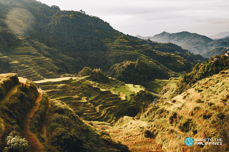 Rice terraces in Sagada Rice terraces in Sagada
