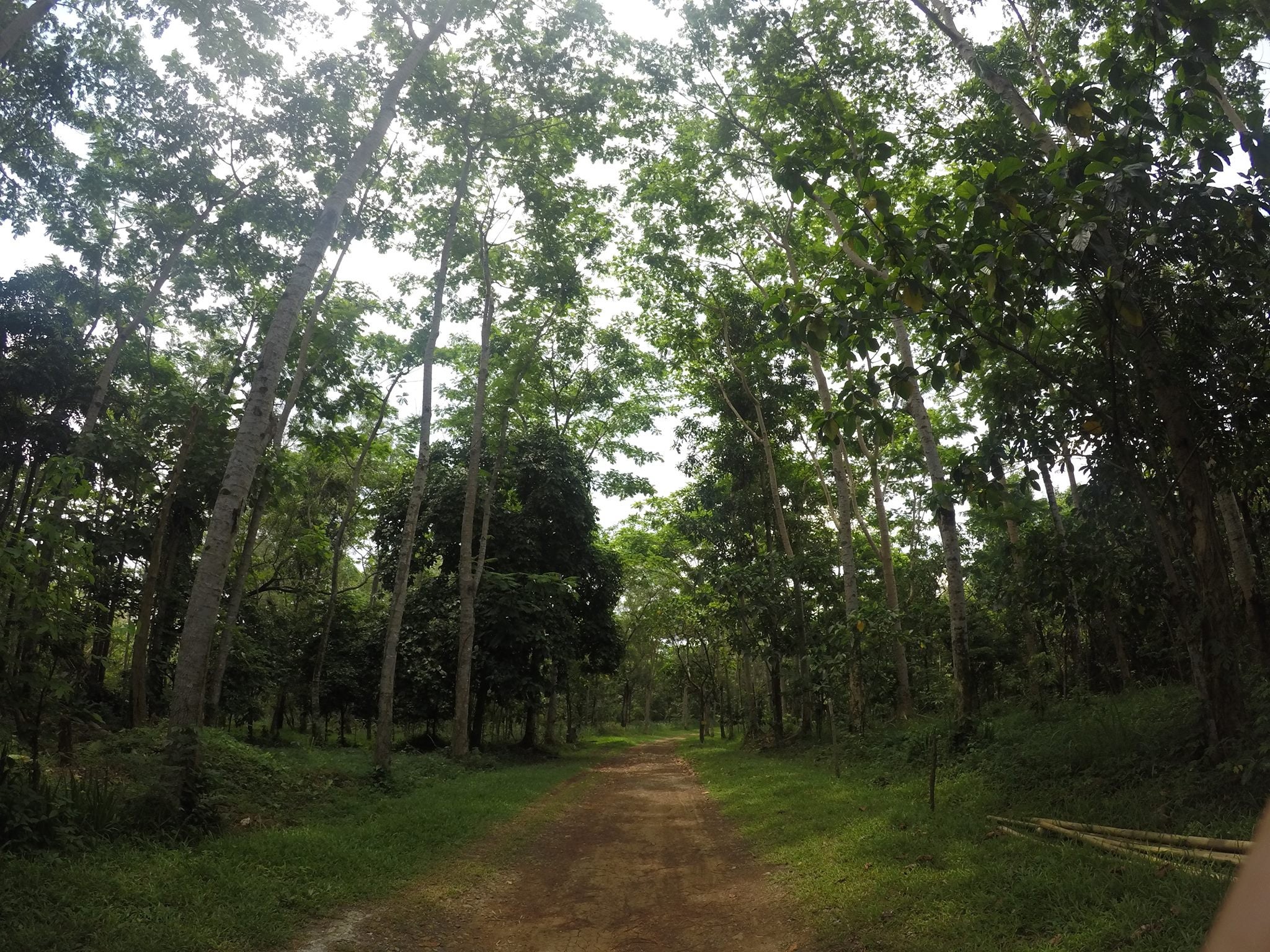 Bike trail in the La Mesa Nature Reserve