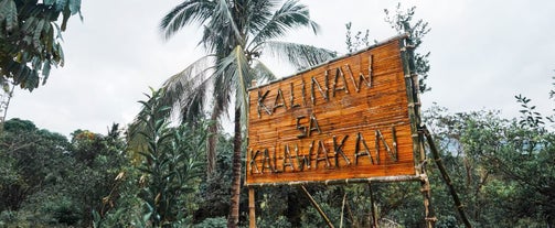 3D2N Bulacan Budget Camping & Wellness Package | Kalinaw sa Kalawakan + Kawa Hot Bath + Bonfire