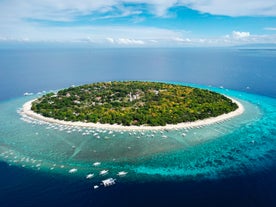 Aerial view of Balicasag Island