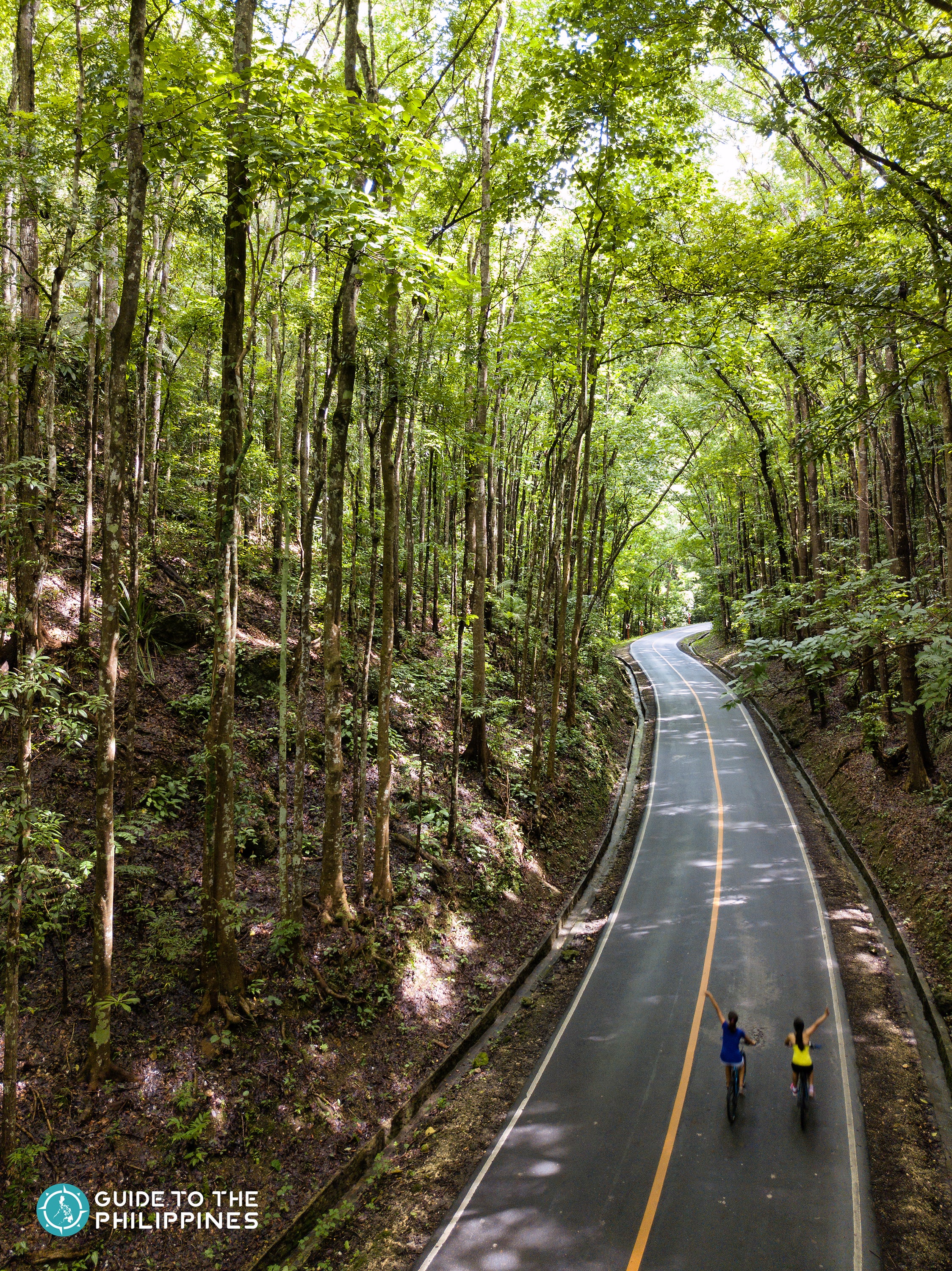 Tourists bike in Bilar Man-Made Forest