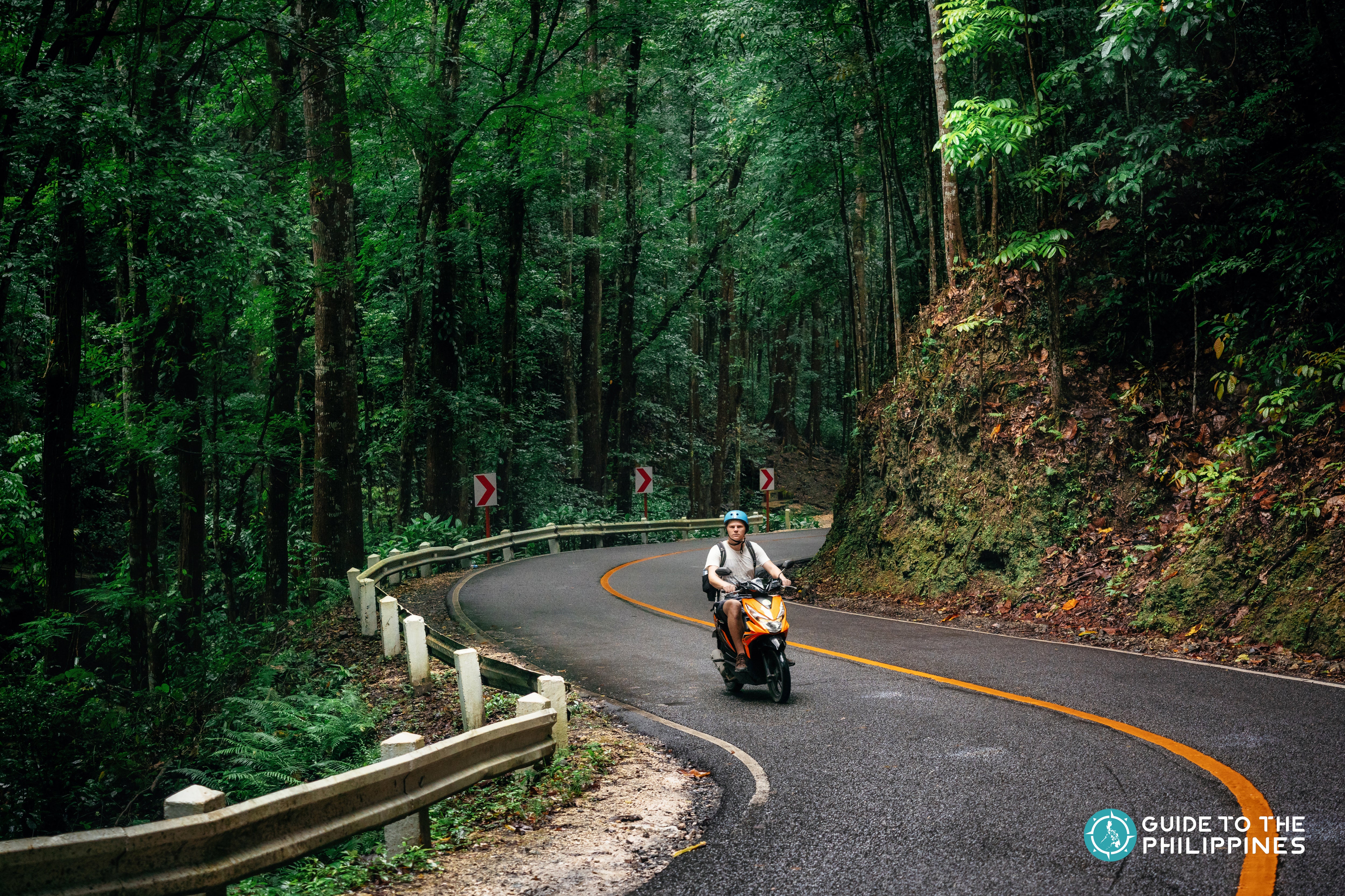 Man riding a motorcycle in the Bilar Man-Made Forest