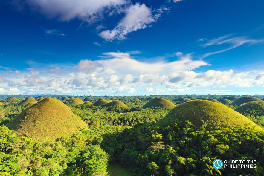 Bohol's Chocolate HIlls Bohol's Chocolate HIlls
