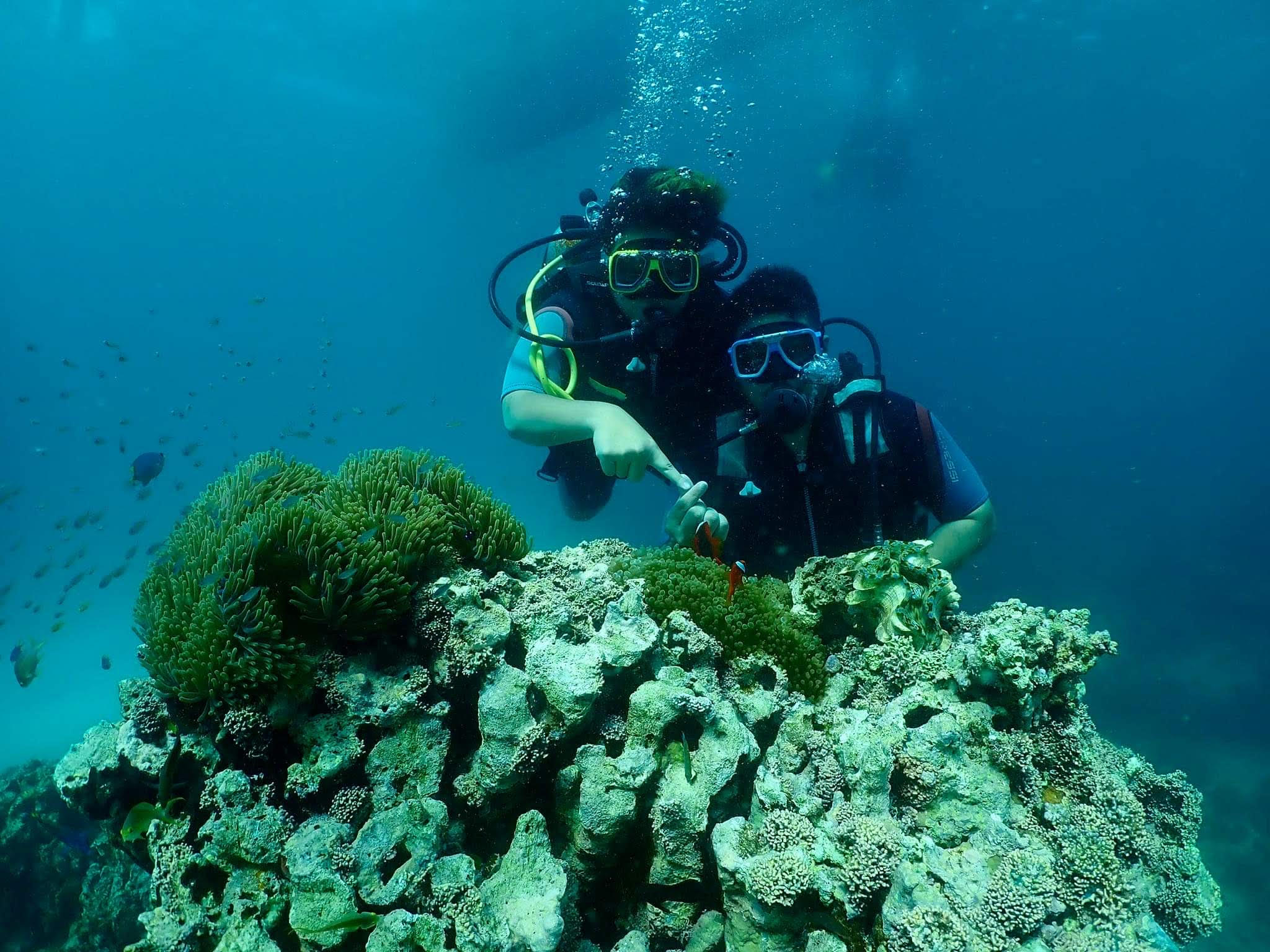 The stunning coral reefs make scuba diving in Boracay Island a must-try tour for cruise passengers.