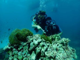 The stunning coral reefs make Boracay Island scuba diving a must-try adventure.