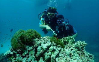 The stunning coral reefs make scuba diving in Boracay Island a must-try tour for cruise passengers.