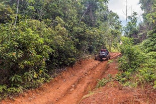 Boracay Island Buggy Car Ride Adventure