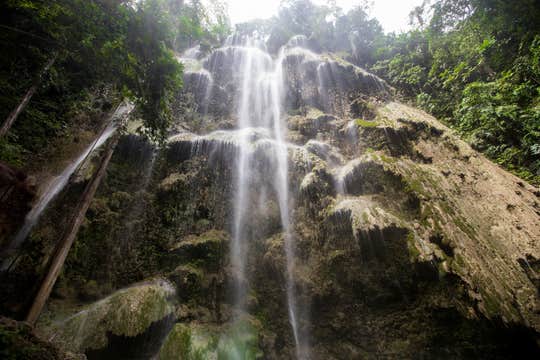 Oslob Cebu Whale Shark Watching & Tumalog Falls Tour with Lunch & Transfers from Cebu City