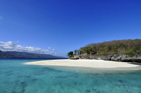 Oslob Cebu Whale Shark Watching Tour with Moalboal Sardine Run, Tumalog Falls, & Sumilon Island