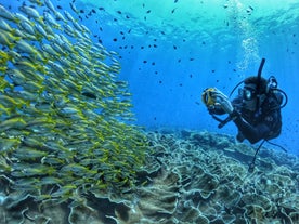 Fun Dive in El Nido