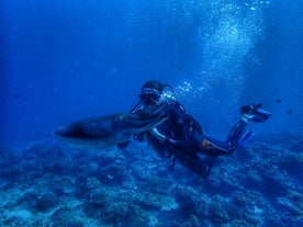 El Nido Sunset Dive