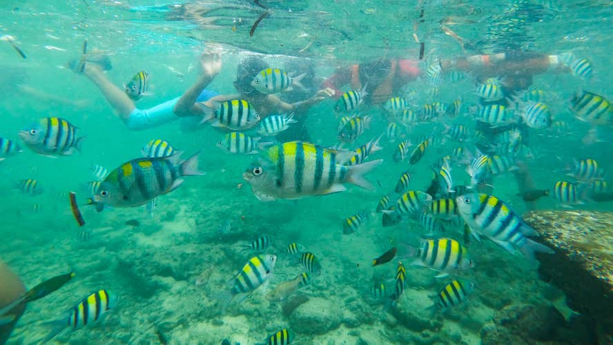 MArine Sanctuary, San Vicente