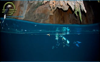 7D6N Coron Diving Package with Airfare | Sangat Island Dive Resort from Manila + Open Water Dives