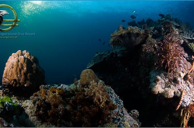 7D6N Coron Diving Package with Airfare | Sangat Island Dive Resort from Manila + Open Water Dives