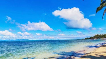 Go on a beach day trip at Catanauan