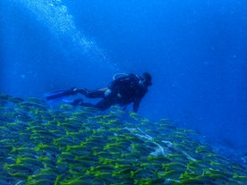 Open Water Course in El Nido