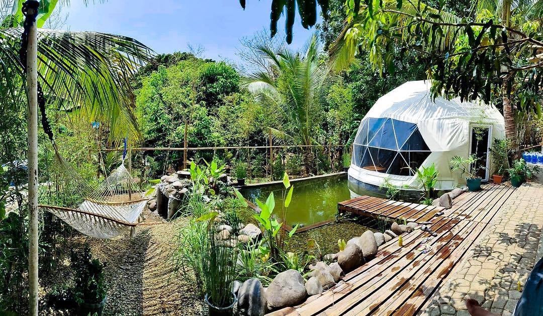 Single tent in Domescape