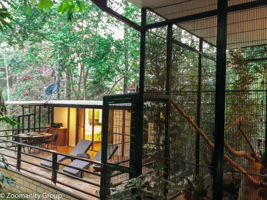 Zoobic Glampz Zoobic Glampz