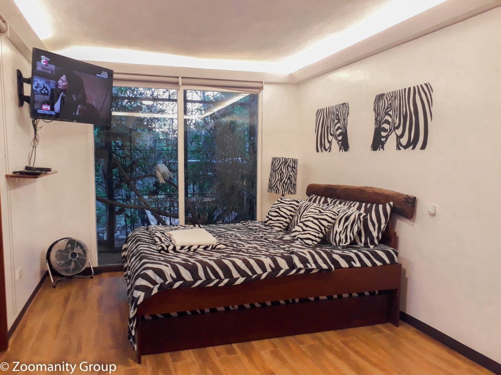 Zebra-themed room in Zoobic Glampz Zebra-themed room in Zoobic Glampz