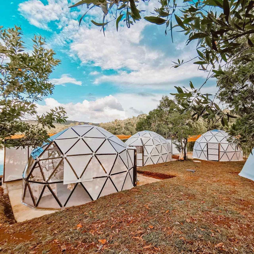 Glamping ETC's tents Glamping ETC's tents