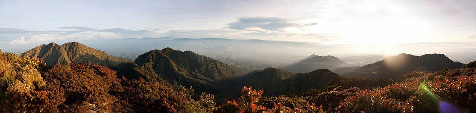 Panoramic view of Mt. Kitanglad's ridges Panoramic view of Mt. Kitanglad's ridges