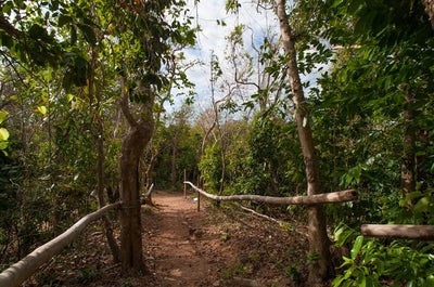 Hike to Eagle's Point