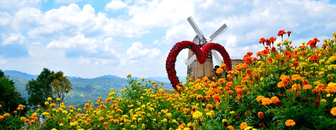 flower farm at Cebu City