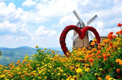 flower farm at Cebu City