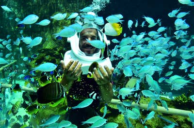 Helmet Diving, Boracay Island