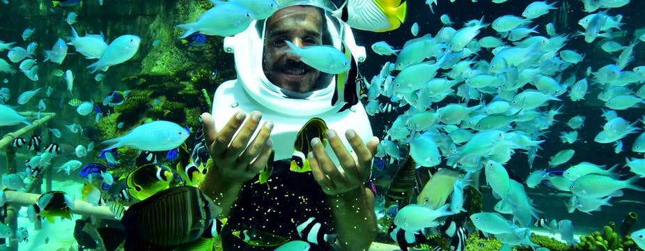 Exciting 14-Day Boracay & Cebu Islands Beaches & Adventure Tour Package from Manila City