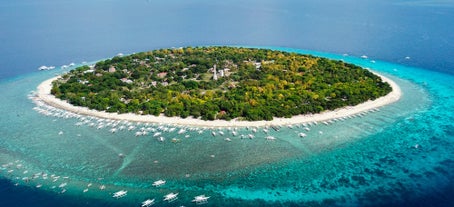 Balicasag Island, Bohol