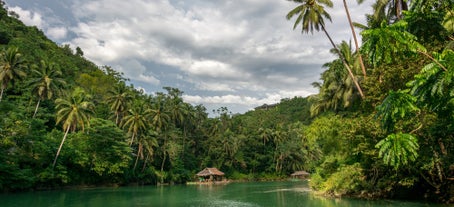 Loboc River Cruise in Bohol Island Province