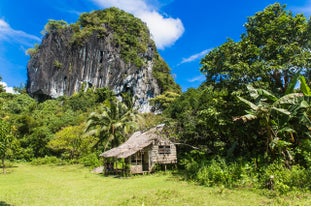 Visit Ille Cave in El Nido