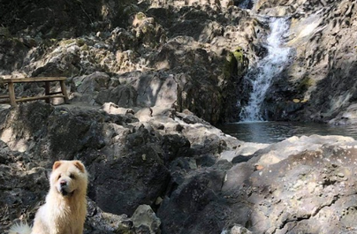 Swim at the cold running water of Bosay Falls