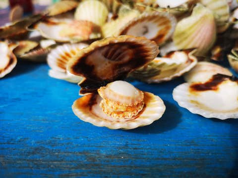 Private Transfer Between Boracay Island Ferry Port and Iloilo City